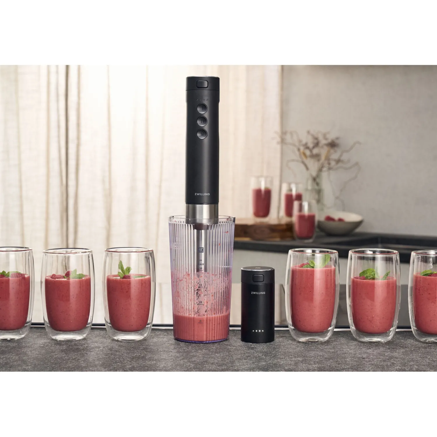 ZWILLING Batterie externe, 12 V Online