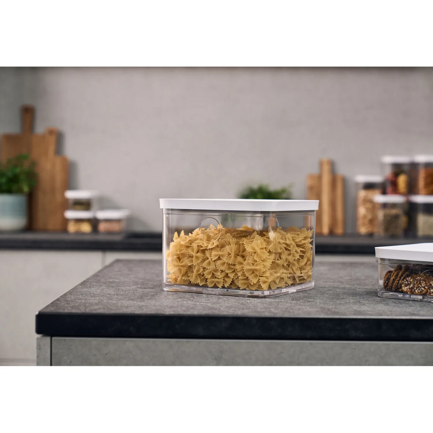 ZWILLING Boîte CUBE 2L / 21 cm, transparent-blanc Online
