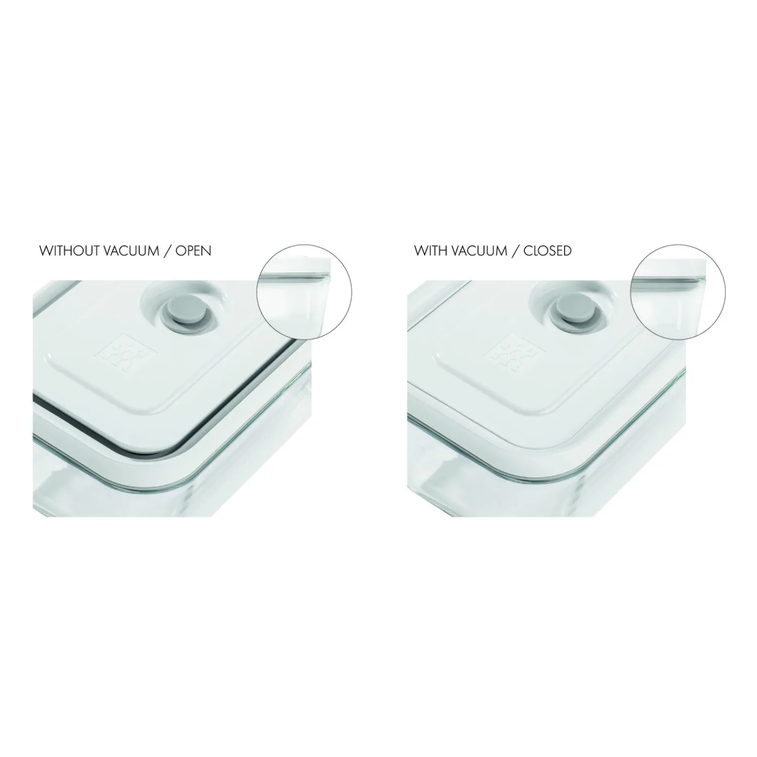 ZWILLING Boîte sous vide L, Verre, Gris Clearance
