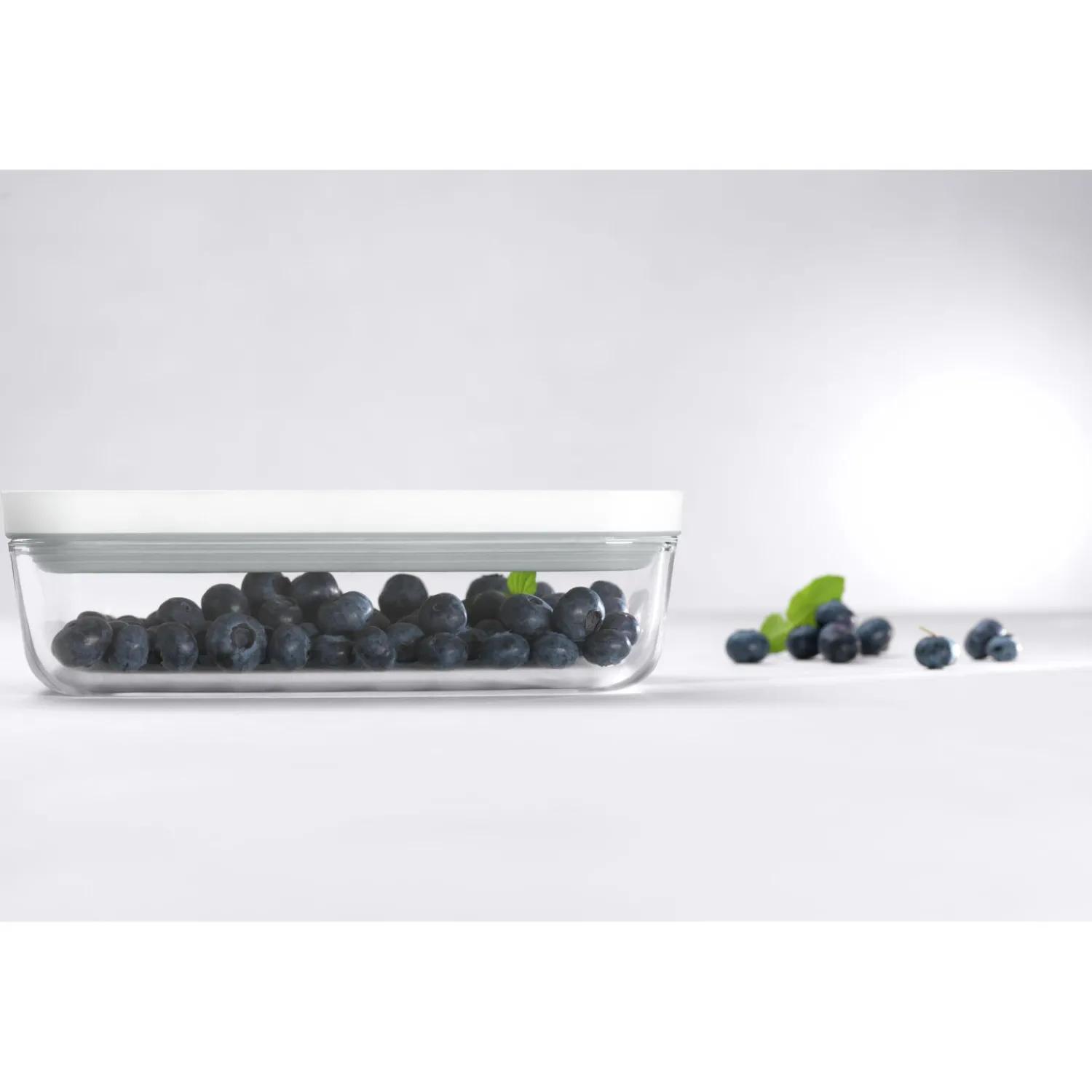 ZWILLING Boîte sous vide S, Verre, Gris Discount
