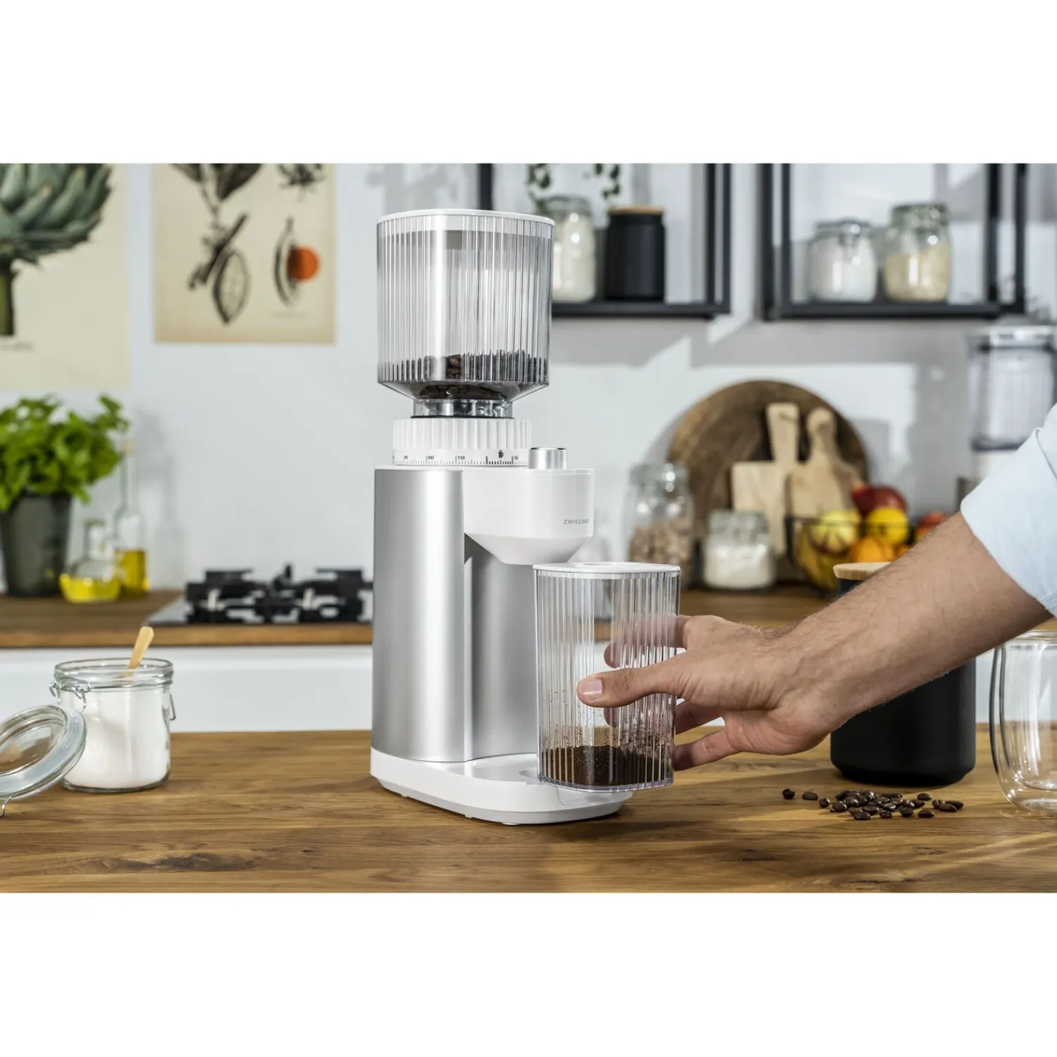 ZWILLING Broyeur à café, Blanc argenté Sale