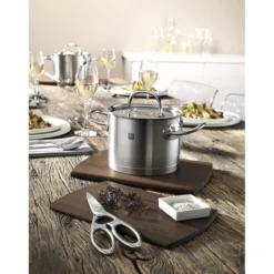 ZWILLING 20 cm, Ciseaux multi-usages, Argent Outlet