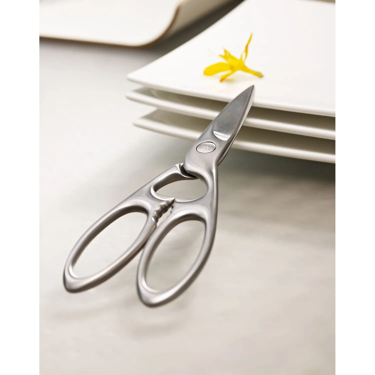 ZWILLING 20 cm, Ciseaux multi-usages, Argent Outlet
