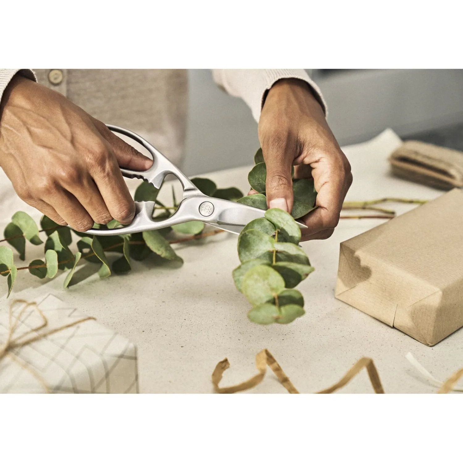 ZWILLING 20 cm, Ciseaux multi-usages, Argent Outlet