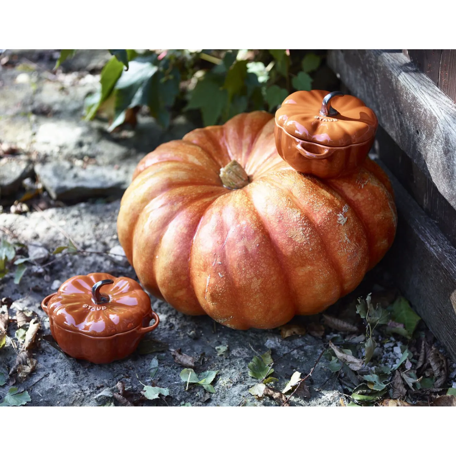 Staub Cocotte 12 cm, Citrouille, , Céramique Cannelle Clearance