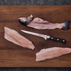 ZWILLING Couteau à filet 18 cm Discount