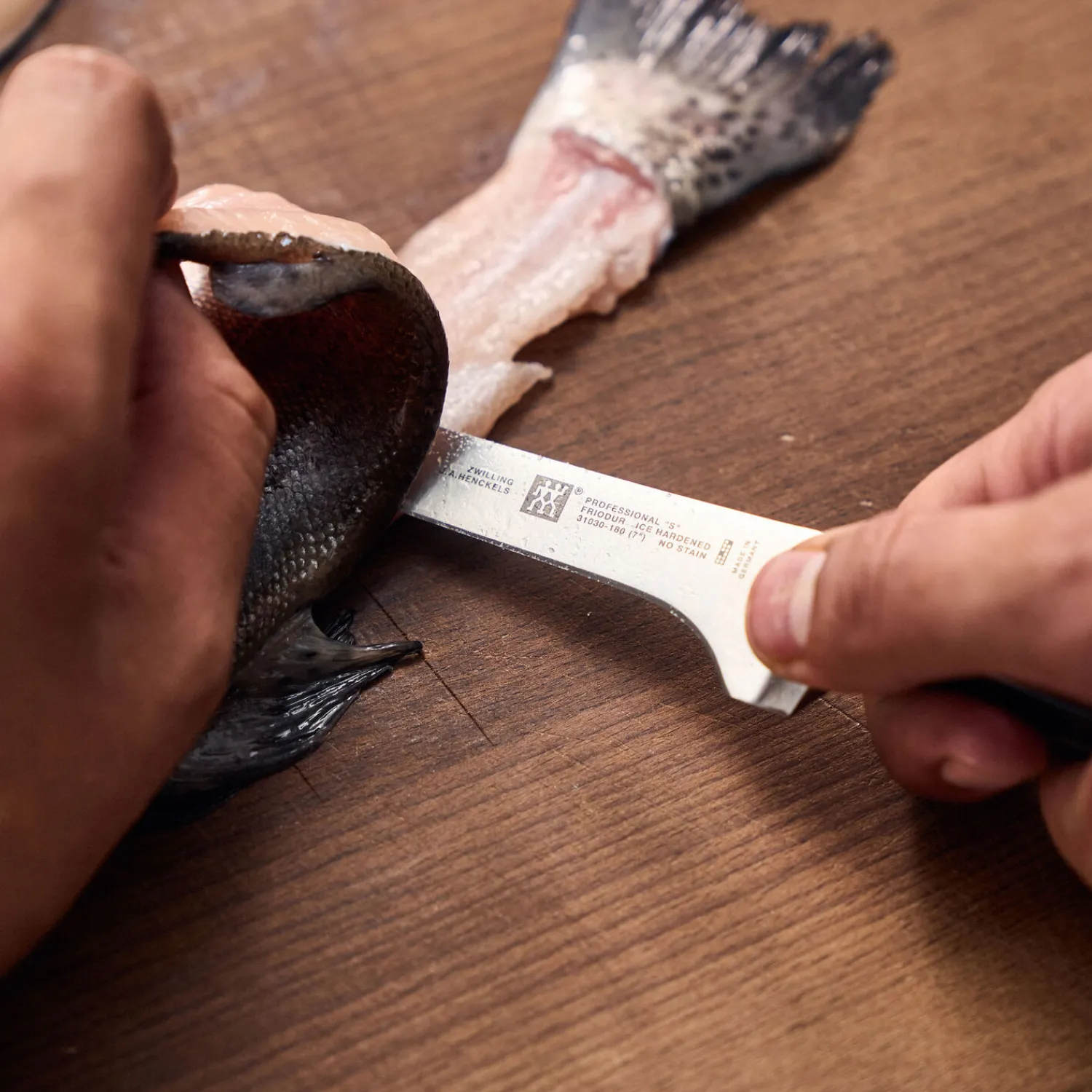 ZWILLING Couteau à filet 18 cm Hot