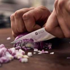 ZWILLING Couteau à larder et garnir 10 cm Discount