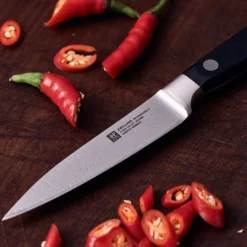 ZWILLING Couteau à larder et garnir 10 cm Online