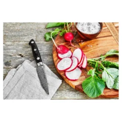 ZWILLING Couteau à larder et garnir 9 cm Hot