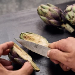 ZWILLING Couteau à larder et garnir 10 cm, Brun, Ziricote Hot