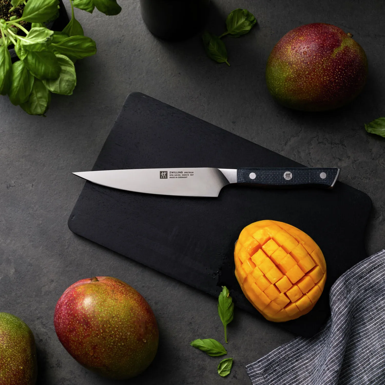 ZWILLING Couteau à trancher 16 cm, Tranchant lisse Online
