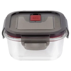 ZWILLING 500 ml, Boîte de conservation, Transparent Hot
