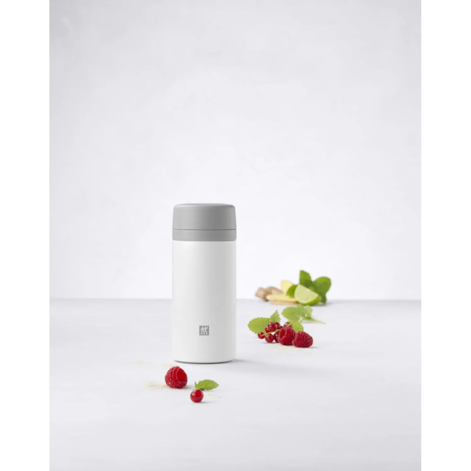 ZWILLING 420 ml, Bouteille isotherme, Blanc-Gris Online