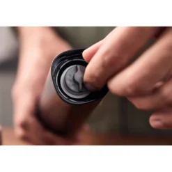 ZWILLING Moulin à épices 19 cm, Sauge Online