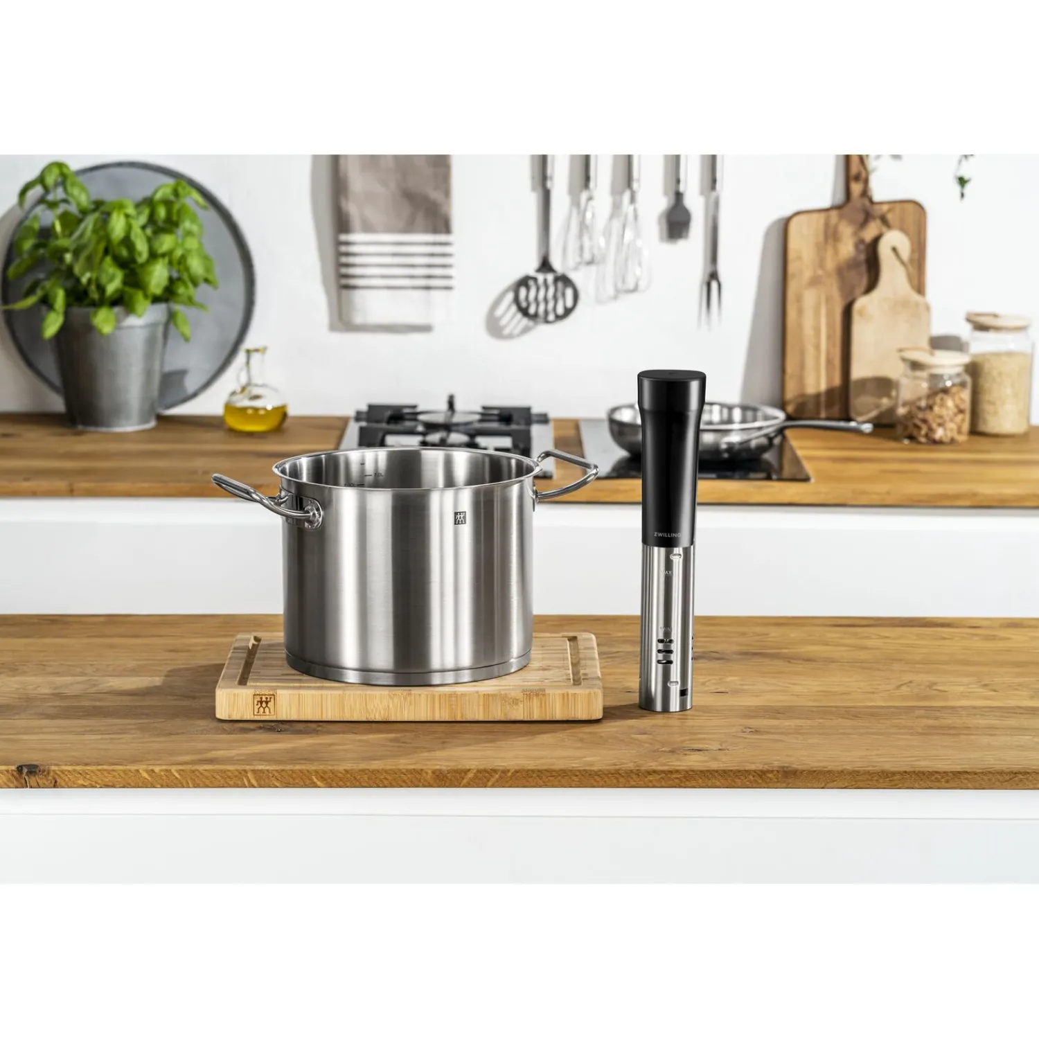 ZWILLING Thermoplongeur, Noir mat Online
